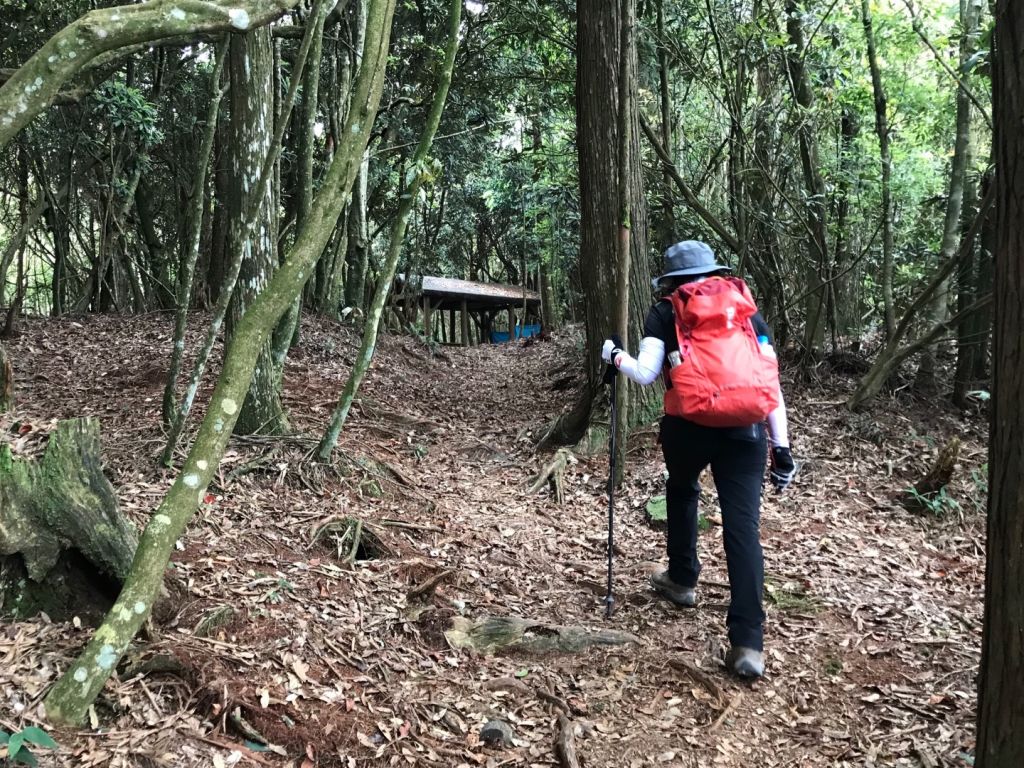 春陽灼灼上八仙_332752