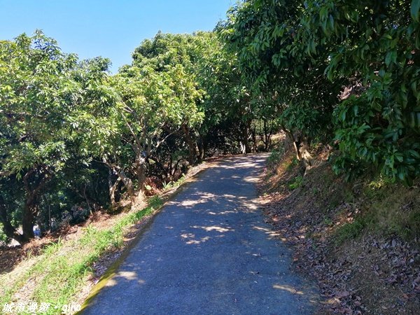 跟著土地公指標趣味走~大里金螢寶山貴妃道_1299072
