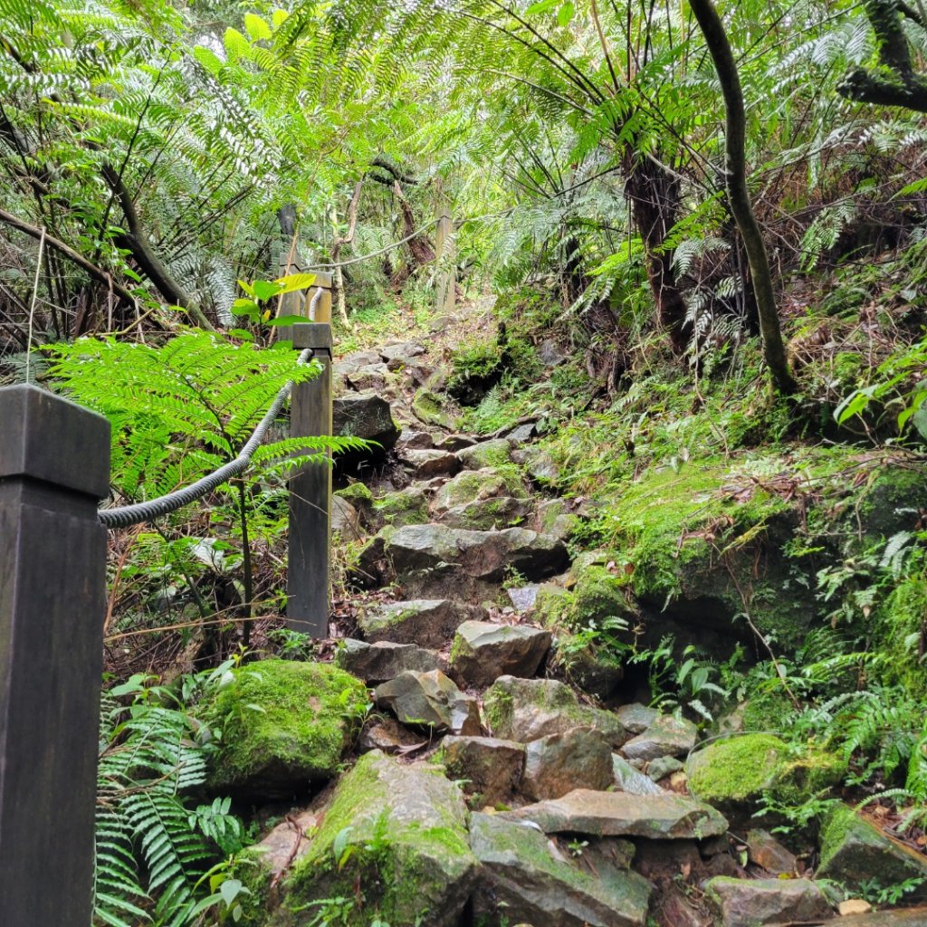 燦光寮古道封面圖