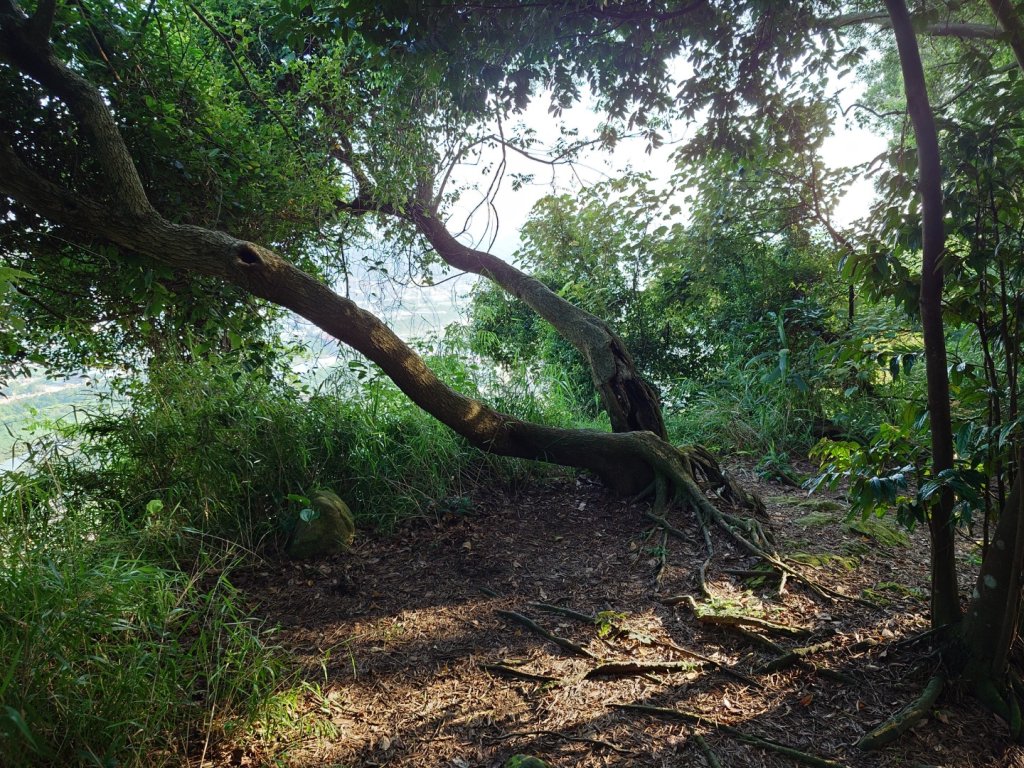微笑山線之鳶山任務_2855497