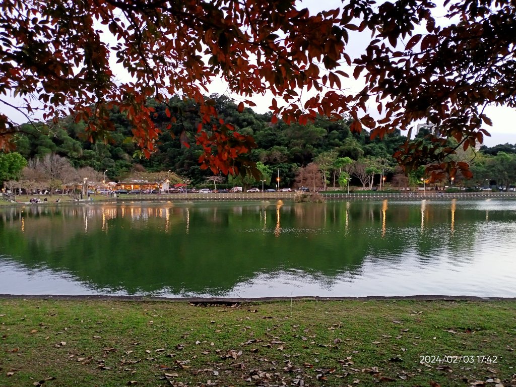 內湖瑞陽公園、碧湖公園、大港墘公園封面圖