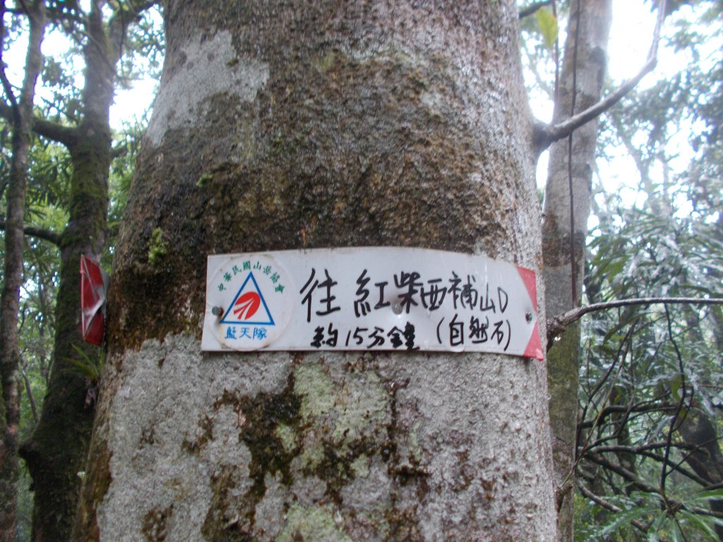 崙埤子山，紅柴林山，紅柴山，中嶺山，中嶺池，崙埤池_1437706