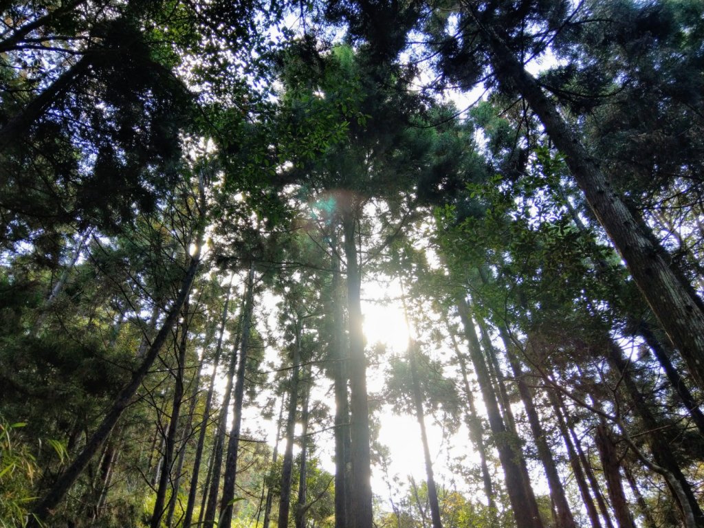 谷關七雄之八仙山（1）（靜海寺登山口）_745908