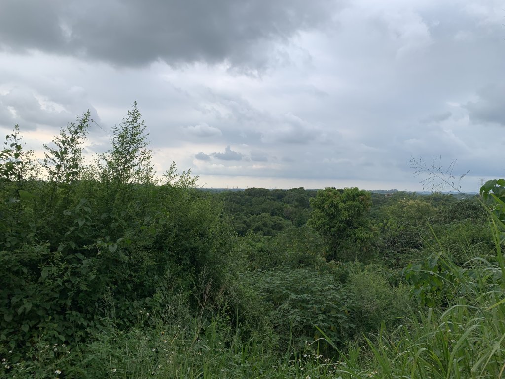 20250906台南蚵殼坑山-九層嶺-三十六崙山-洋子寮山封面圖