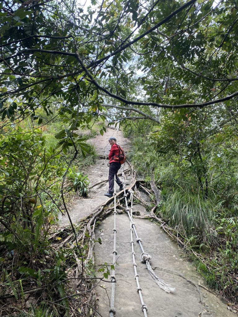 三峽五寮尖山_2764279