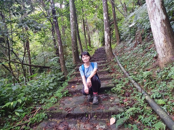 【新竹橫山】綠蔭夾道流水淙淙。2024森遊竹縣。 騎龍古道_2616205