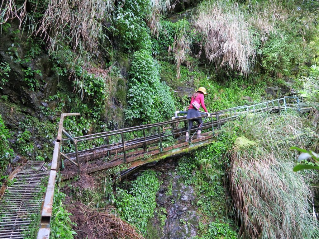 石山引水道 鹿林前山瀑布 鹿林神木_1741126