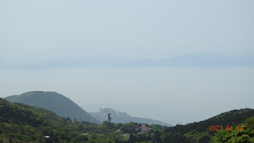 邂逅江湖傳說已久鐘萼木(據說冰河孓遺植物)，再見差強人意的月光/日出雲海_2112209