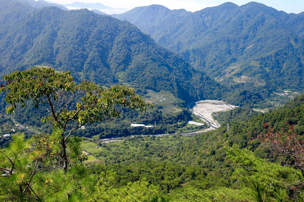 東卯山：東南稜晨曦_405788