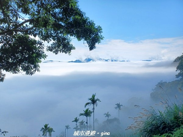 【台南。 楠西】滿滿的雲海太驚豔。 小百岳集起來。 編號67小百岳~竹子尖山步道_1605876