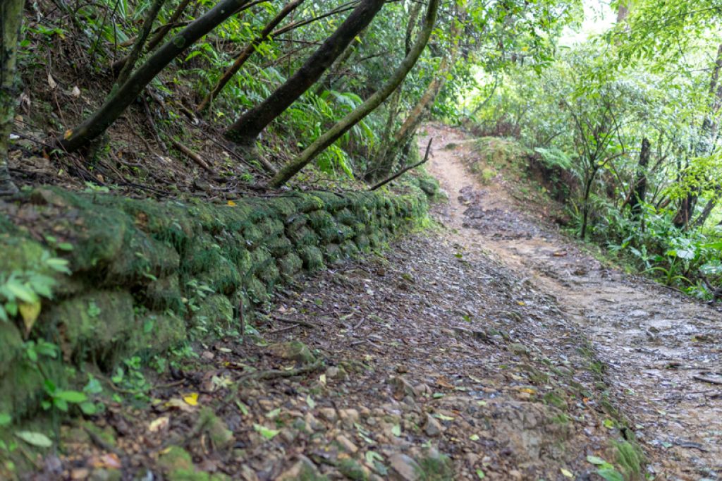 三貂嶺瀑布步道_406567