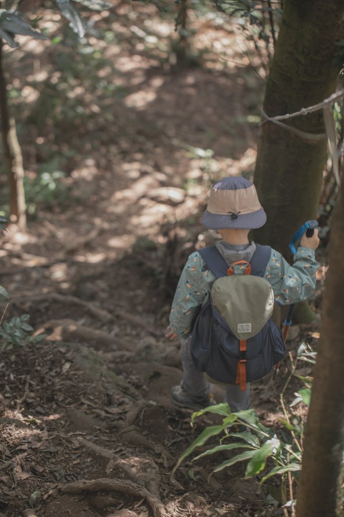 悠遊五指間-新竹五指山五連峰_2039382