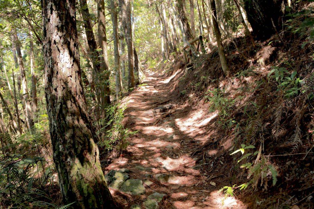 谷關七雄：新山馬崙山_178279