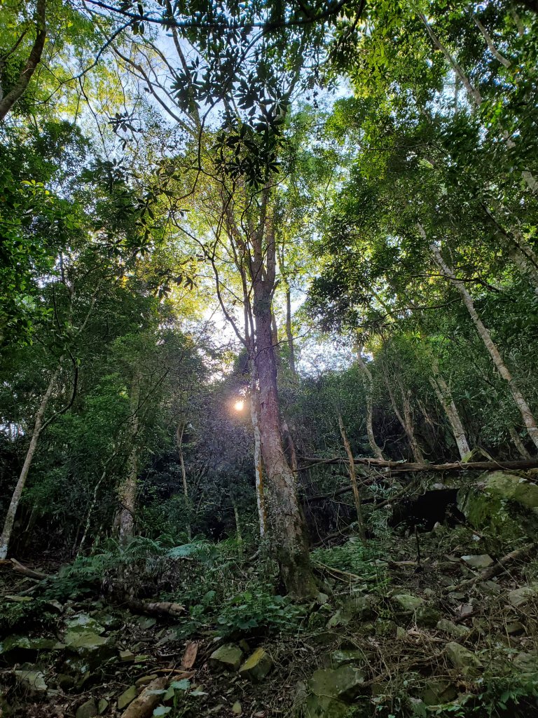 水雲三星之鳥嘴山_1306047