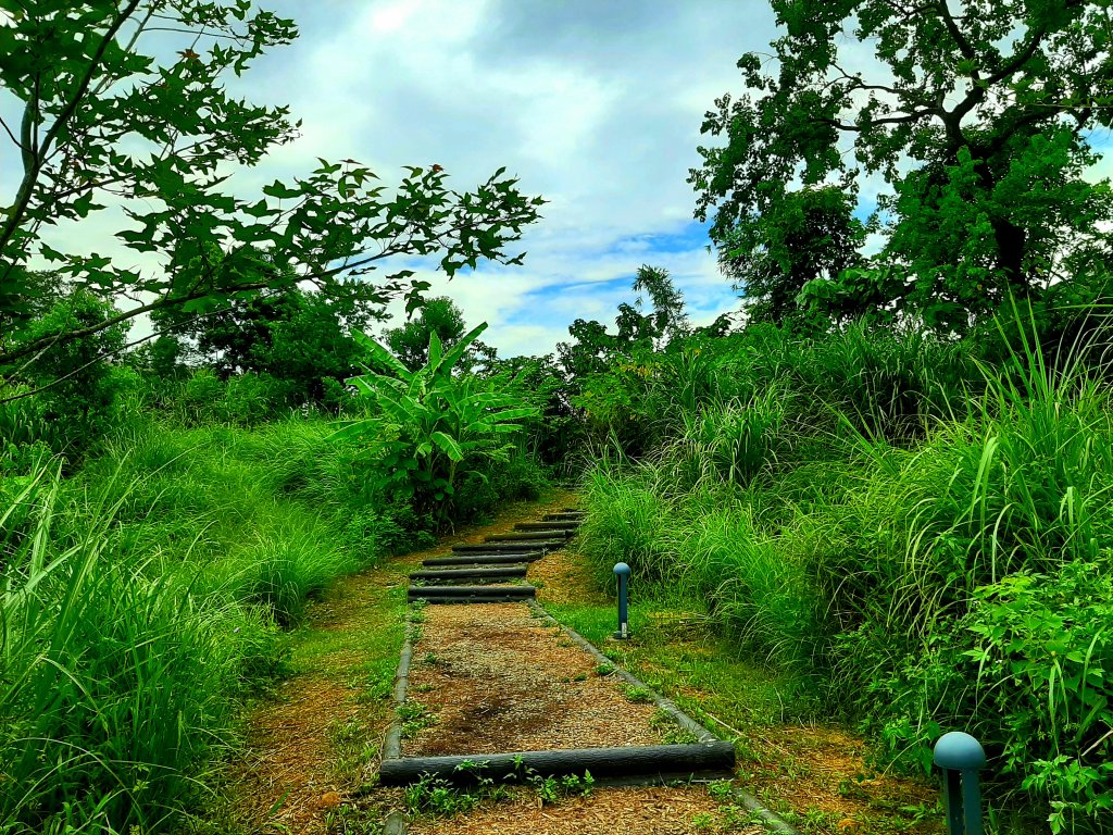 臺北趴趴走｜文山森林、台大、林森、淡水、大安森林、象山_2238226