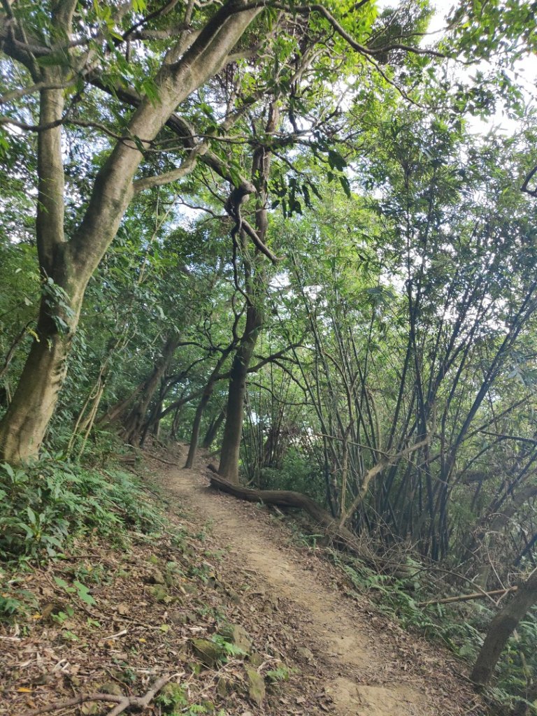 2023.09.24 樹鶯縱走_2486380