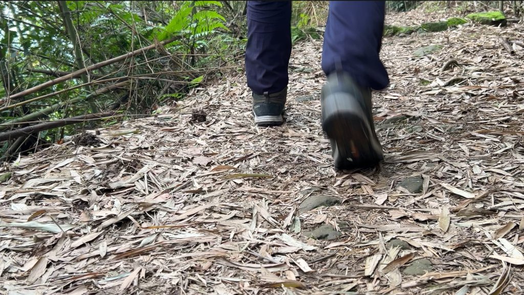 馬那邦山_2597587