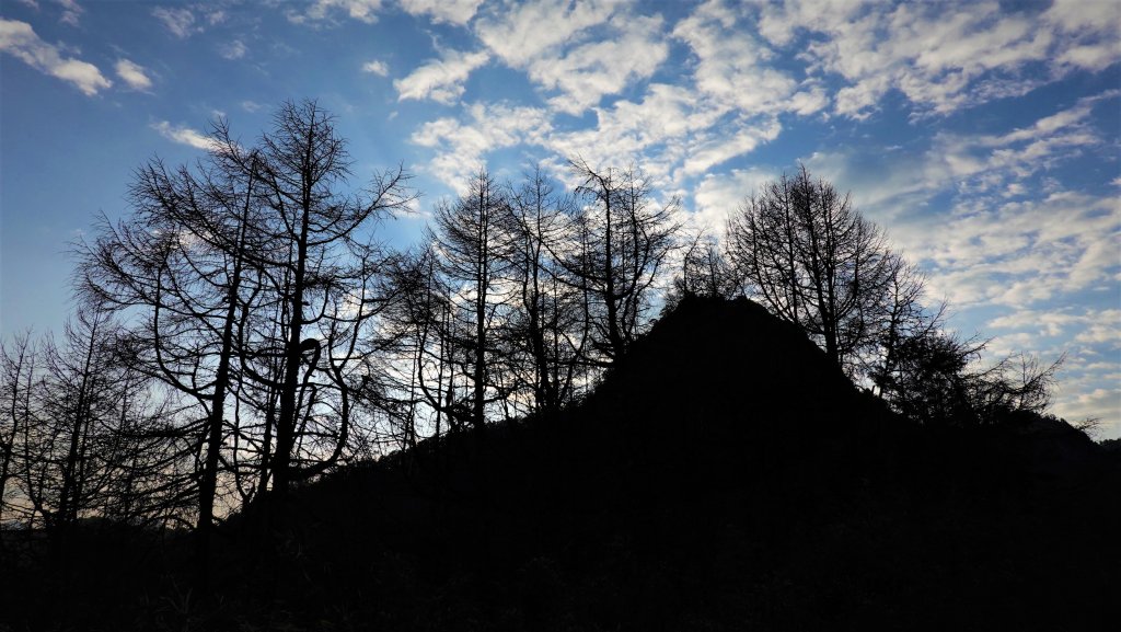 山行漫遊郡大林道上的清水金子郡大三美山_1341650
