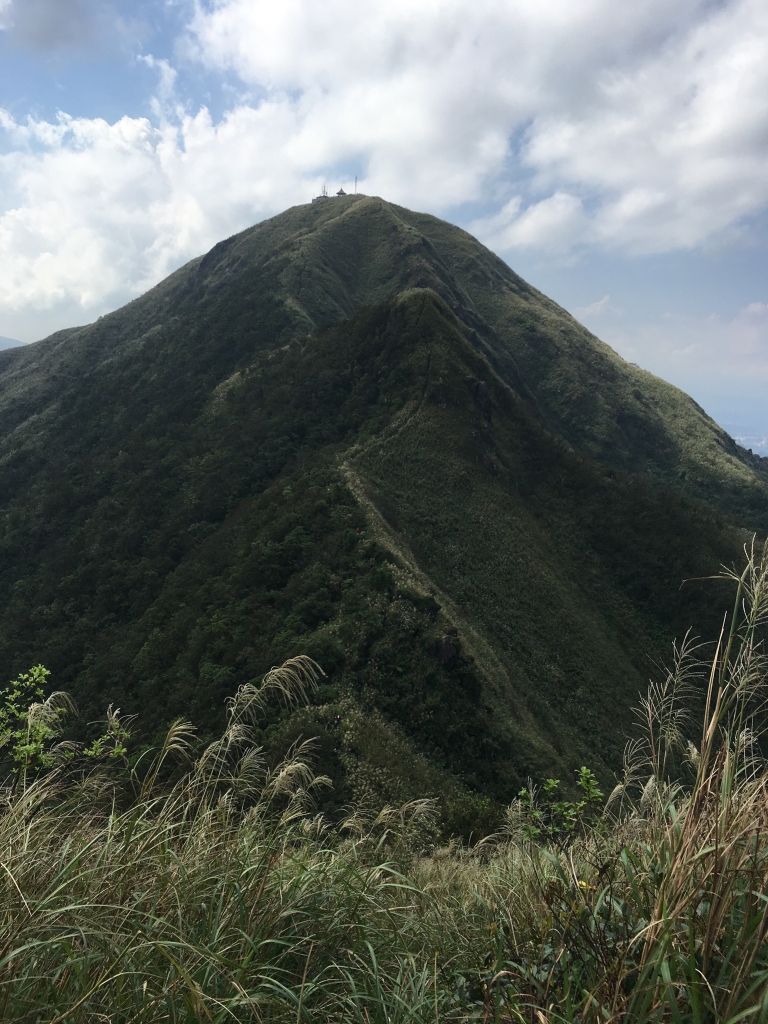 野人幫之基隆山雷霆峰挑戰行封面圖