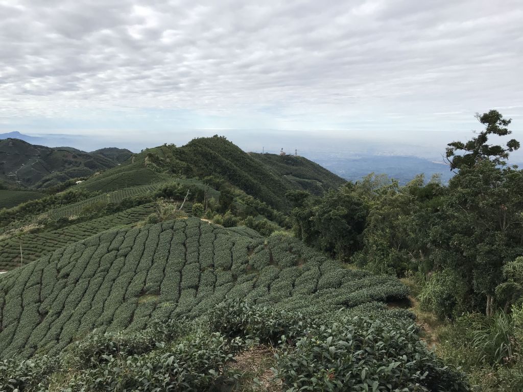 1061126雲嘉七連峰_213474