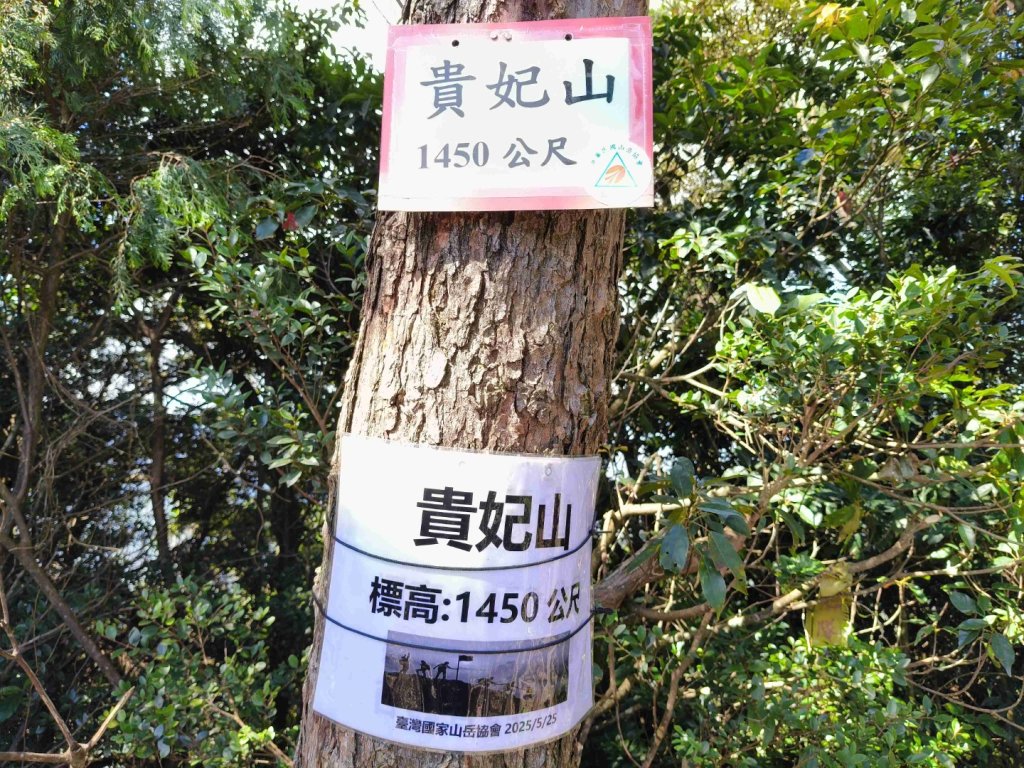 貴妃那結P 型縱走1131012_2621913