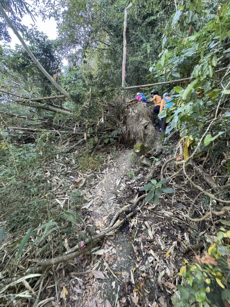 20251123三腳南山登山步道_2944468