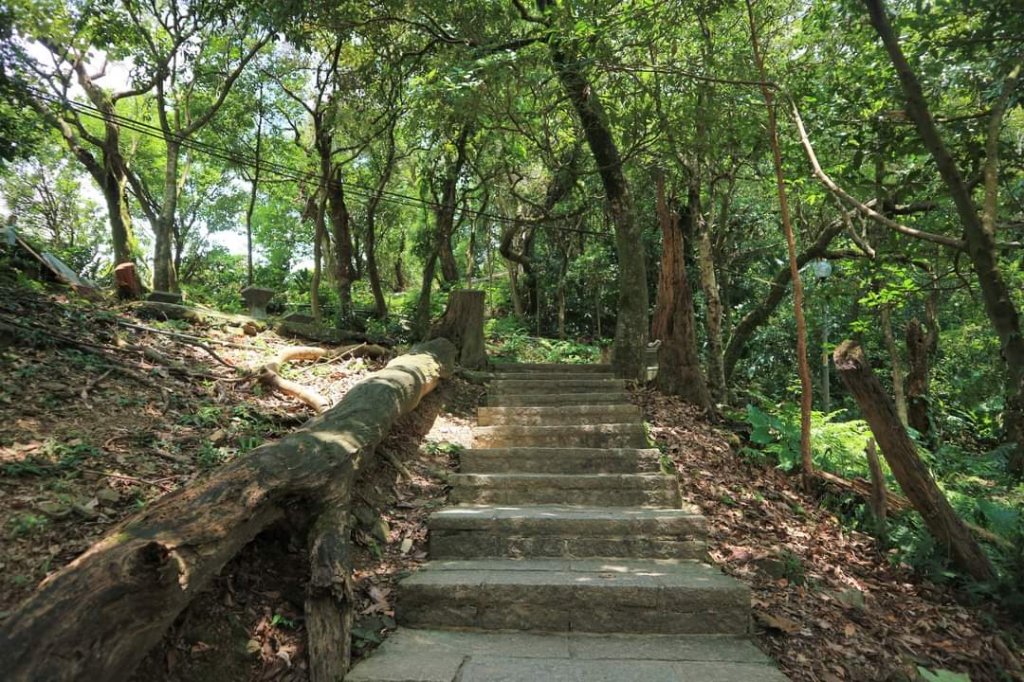 小百岳NO12  汐止大尖山 縱走海拔641公尺 四分子尾山_2228902