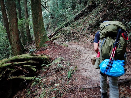 眠月線，水漾森林_563281