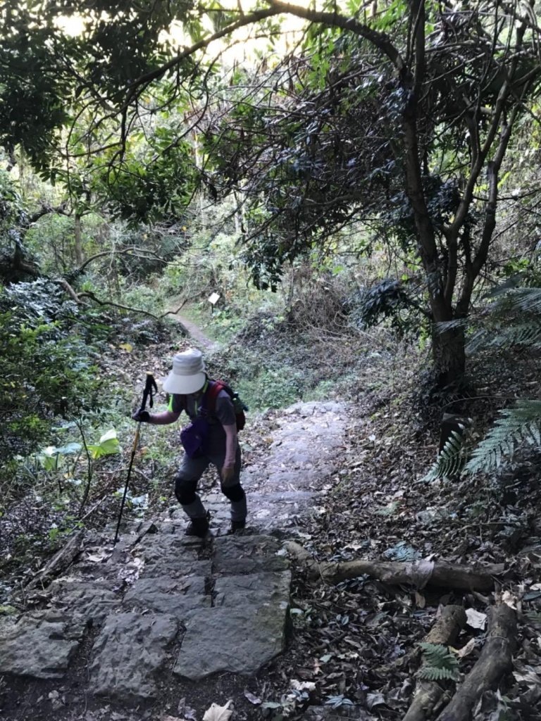 樟腦寮車站上獨立山奉天岩泡茶煮泡麵大巃頂看群峰美景_469770