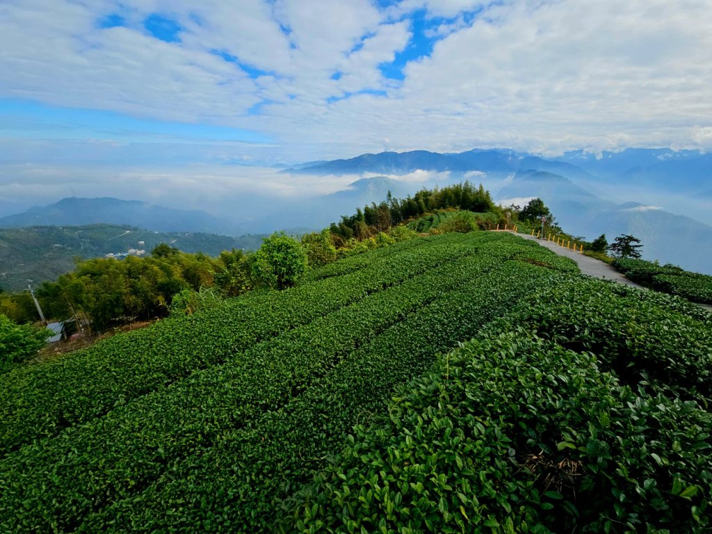 挑筍古道(大尖山、後棟仔山步道)--(雲林)臺灣百大必訪步道_2955754