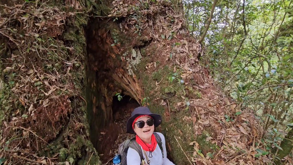 復興三尖之夫婦山_2356768