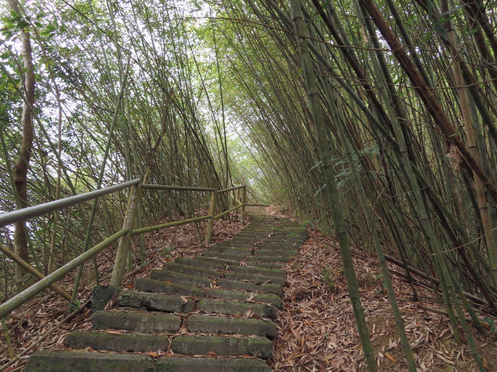 大湖尖山(順遊半天岩紫雲寺‧飲冰柿茶集‧曾記涼泉芳冰店)_1351525