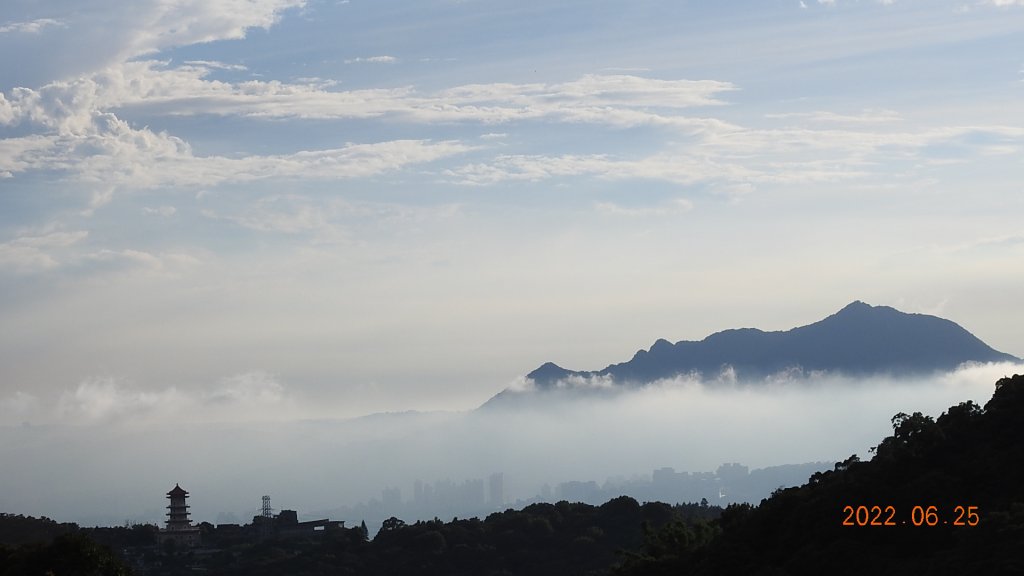 雲山水花鳥蝶-天龍國阿伯的日常6/25&26_1744337