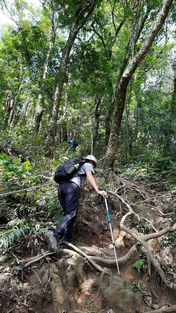 《新竹》幸福雲海｜鵝公髻山步道X山上人家20221105_1900195