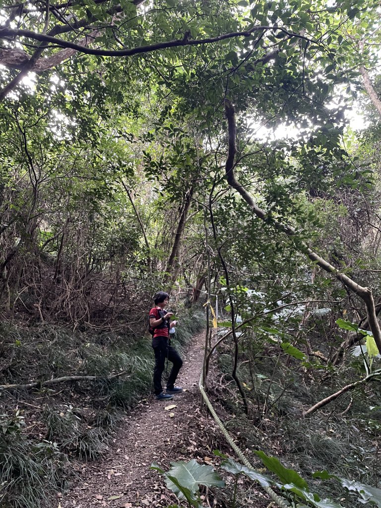 小百岳｜屏東獅子鄉女仍山_1606838