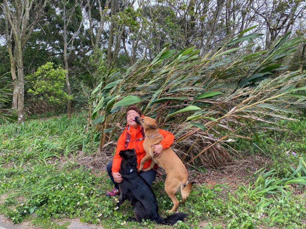 新竹十八尖山步道群_2106601