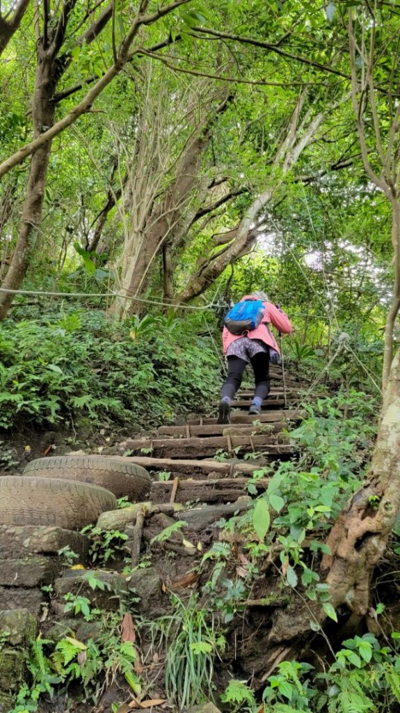 觀音山硬漢嶺步道_1900443