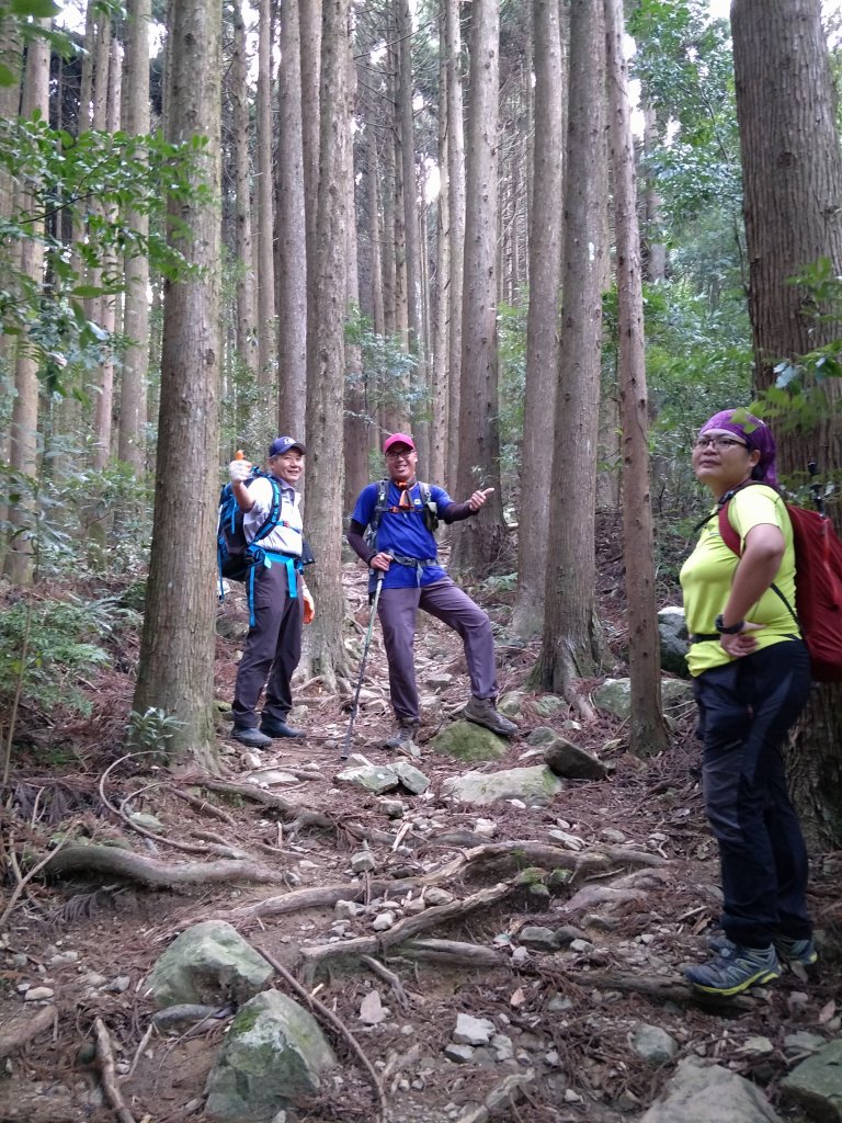 2019 03 28 哈加縱走_553934