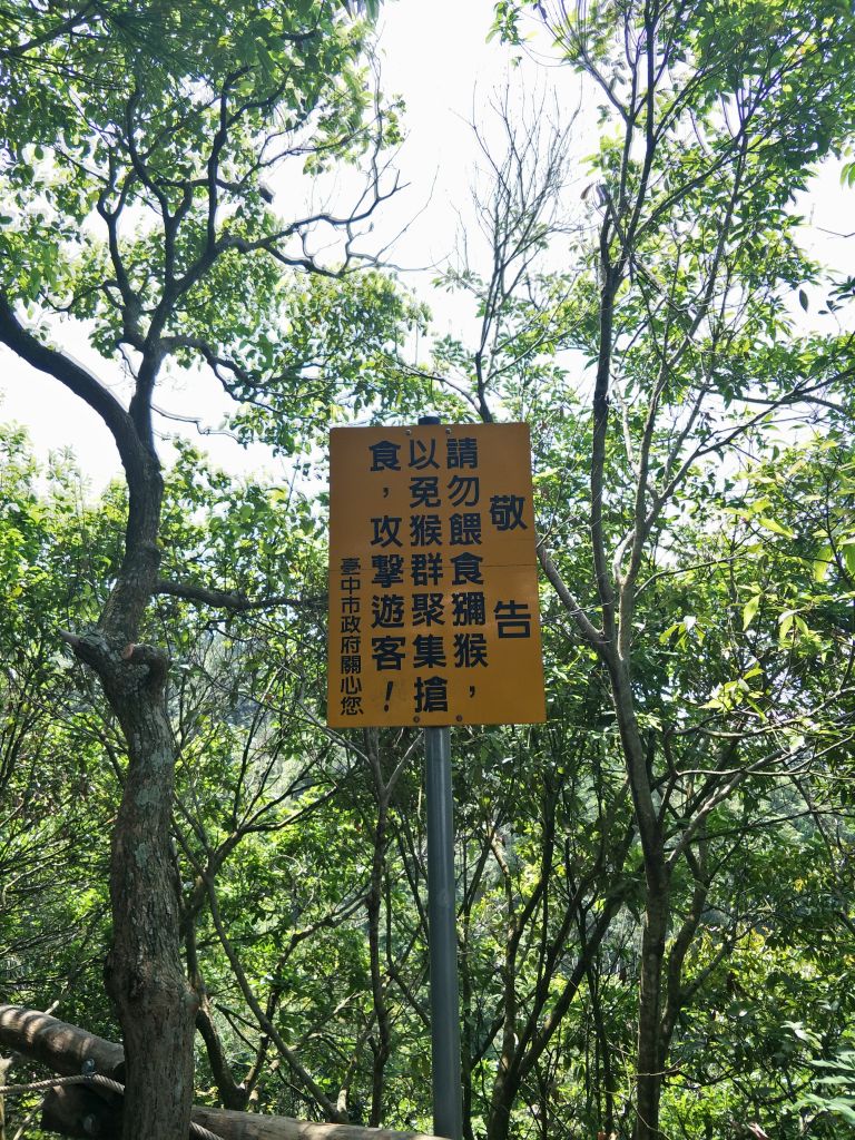 大坑4號步道&頭嵙山_374888