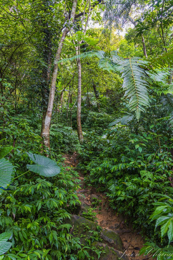 [新竹]石牛山_2615718