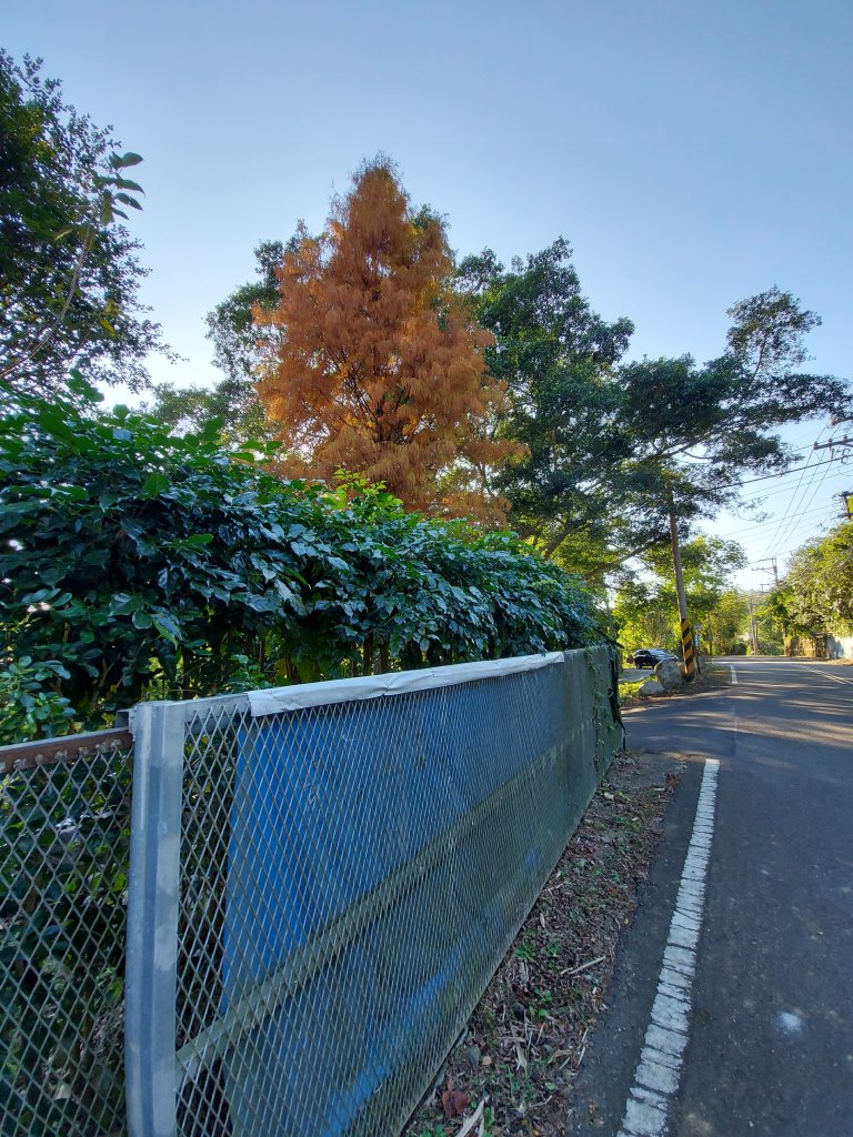 1100102樟之細路：龍潭-關西_1232469