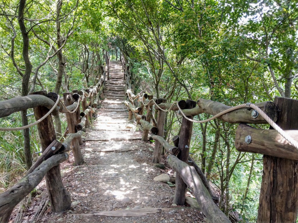 頭嵙山(小百岳#41)大坑4,5,1步道_1003676