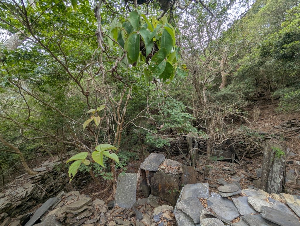 白鷺部落至大武藏山與舊古樓社_2782350