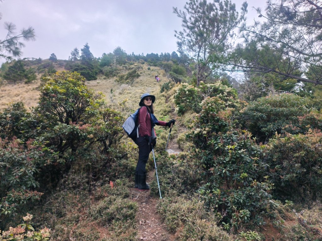 20240319 馬博8天縱走~第四天，馬博拉斯山，駒盆山_2469721