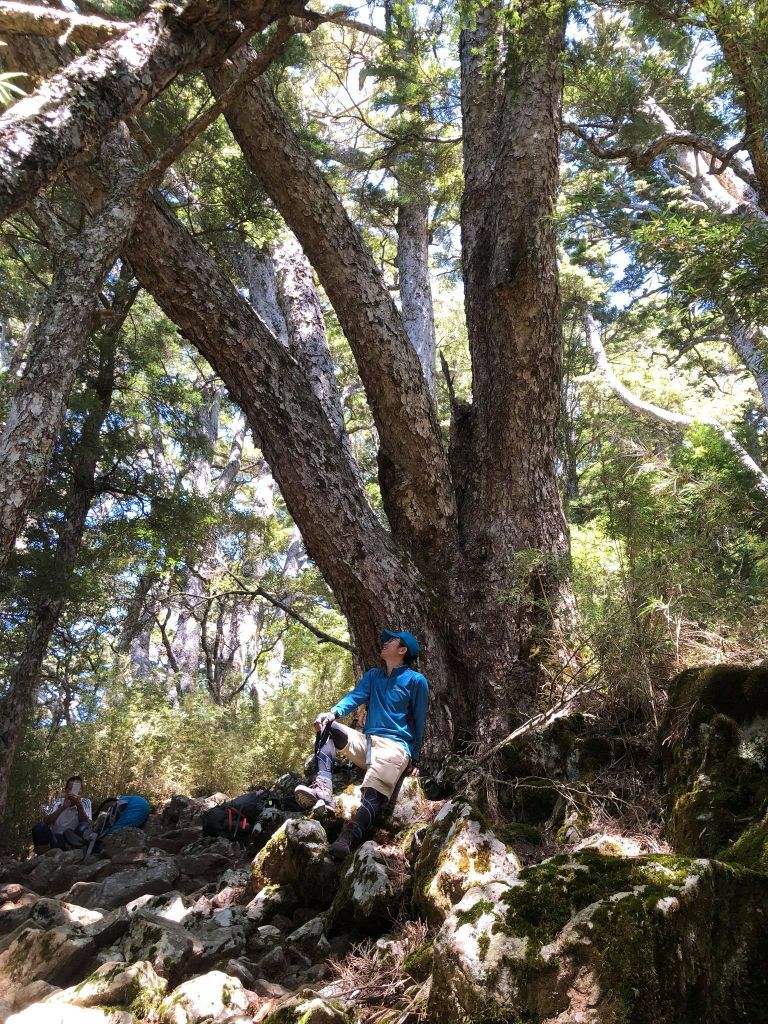 兩天一夜武陵四秀（池有,品田,桃山）_376071