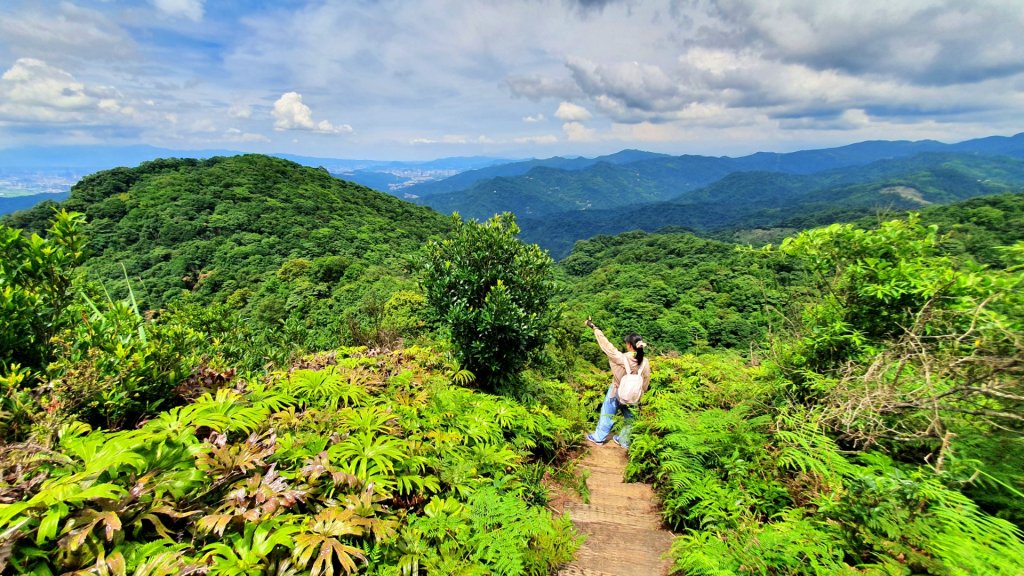 北投大砲岩，石壇山，三芝大屯溪古道，三板橋，三峽白雞山，雞罩山，石門內尖山，中和外員山，中坑山東北峰_1738181