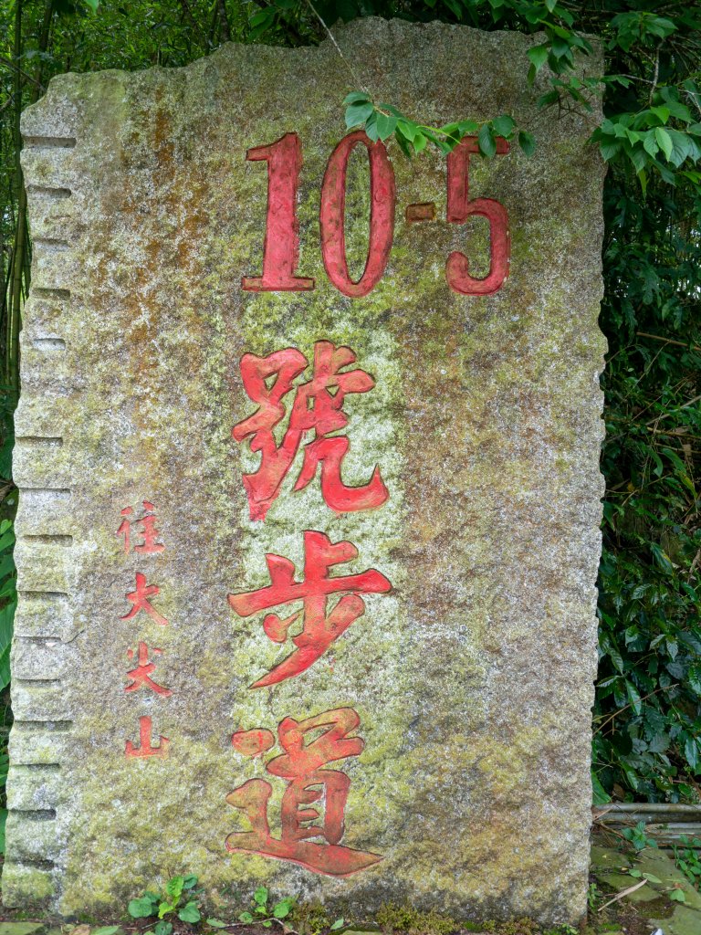 雲嘉大尖山、二尖山、山豬湖O繞_1689581