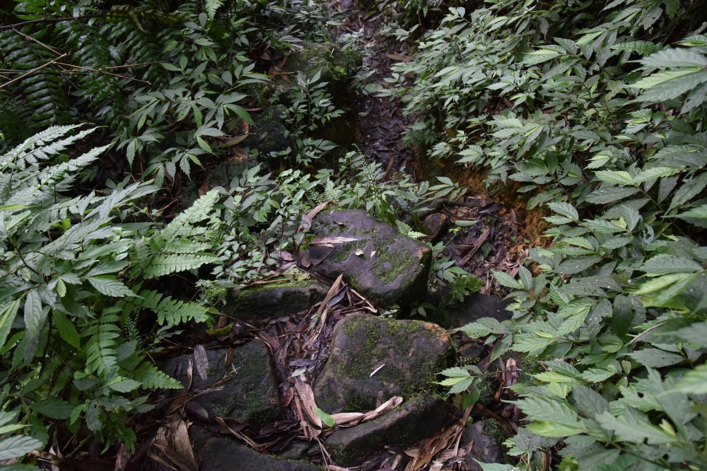 汐止大尖山_1435819