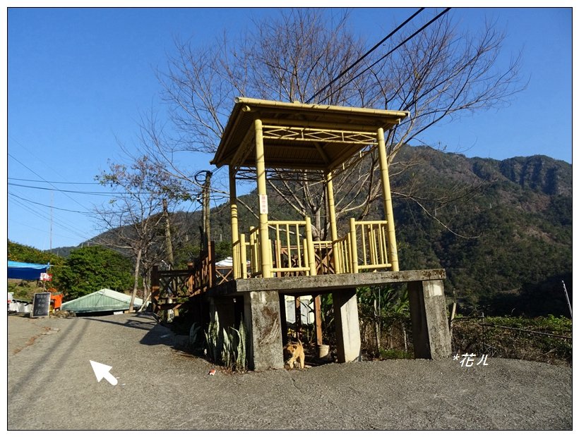 谷關/阿白縱走_821989