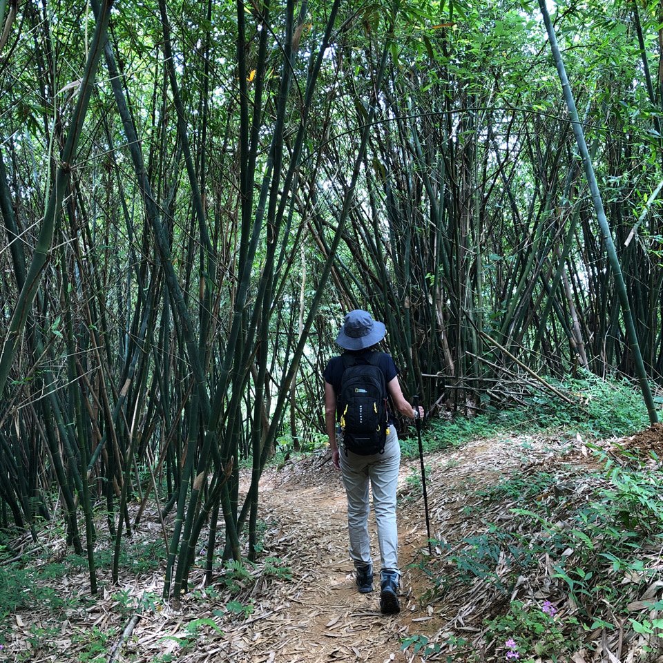 台北大縱走第6段 中華科大~捷運麟光站封面圖